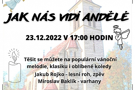 Vánoční koncert