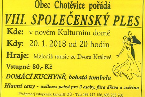 VIII. Společenský ples