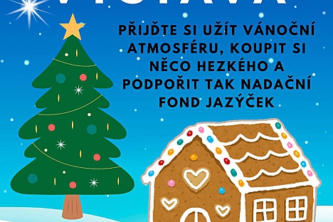 Vánoční výstava