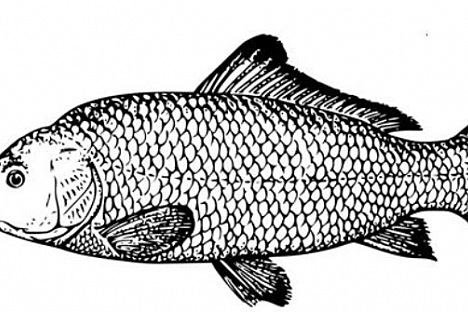 O pohár starosty obce Vítězná