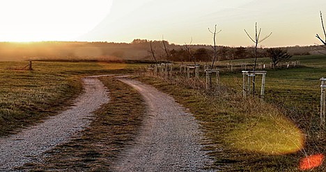 Horní Žďár: Alej pokračuje