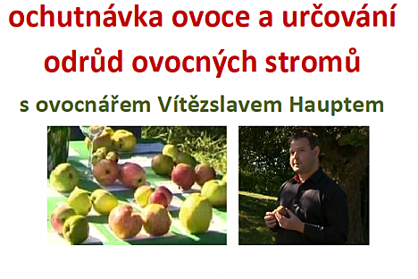 Pozvánka na ovocný piknik